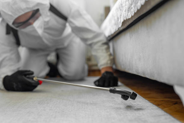 Professional Bed Bug Control technician working in Porter County County, IN